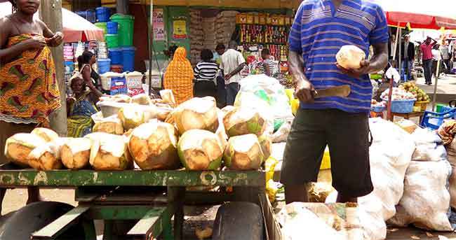 Ghanaian ex-convict goes back to prison for stealing coconut. 