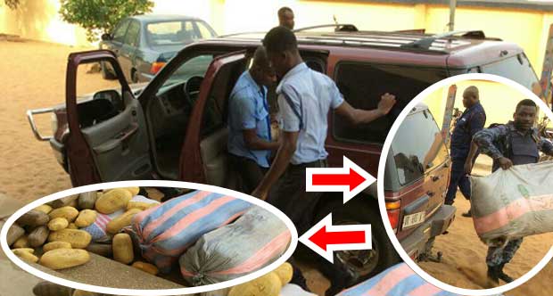 Police intercept 105 parcels in Volta Region. 