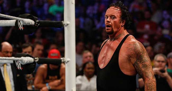 undertaker retires from wwe 2
