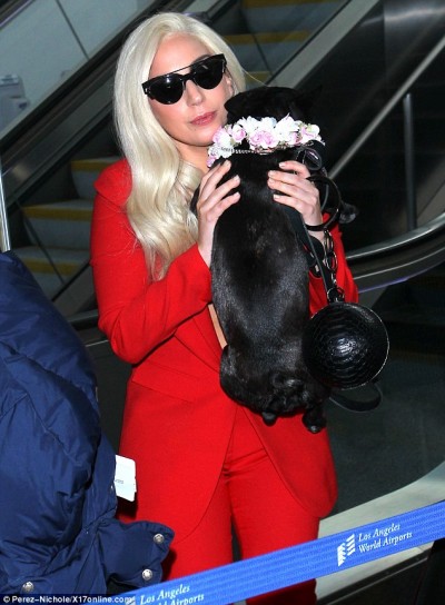 Lady Gaga rocks hot red suit 5