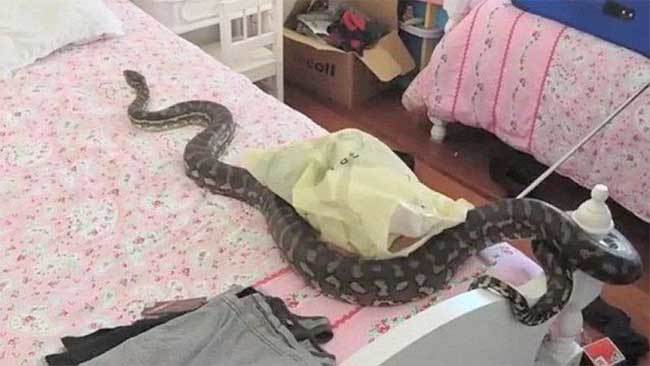 Female student turns into a snake after chilling with Sugar Daddy (Photos)