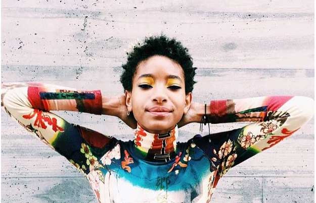 Willow Smith sparks controversy. 
