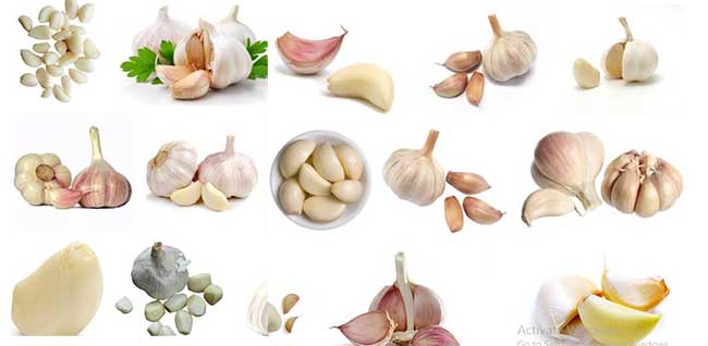 Garlic with its other effects