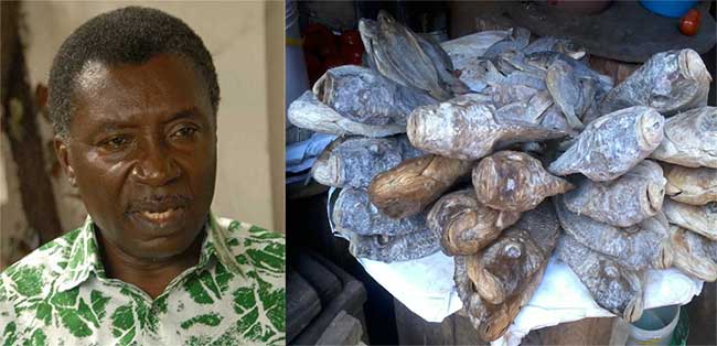 Stop poisoning "koobi" or dried tilapia - cautions Prof Frimpong-Boateng
